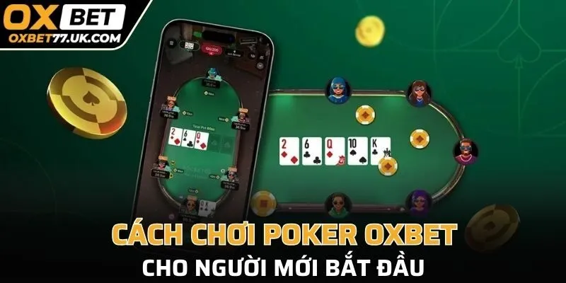 Cách chơi poker OXBET cho người mới bắt đầu
