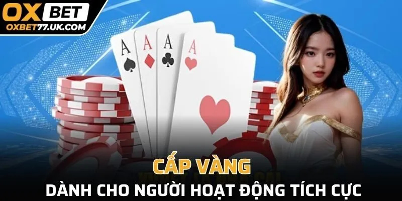 Cấp Vàng dành cho người hoạt động tích cực trên nền tảng