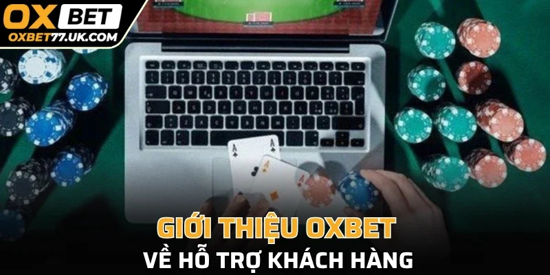 Giới thiệu OXBET về hỗ trợ khách hàng