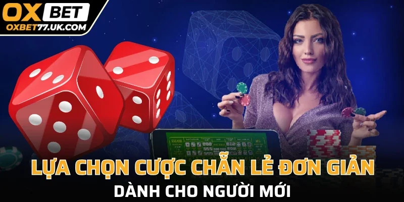 Lựa chọn cược chẵn lẻ đơn giản dành cho người mới