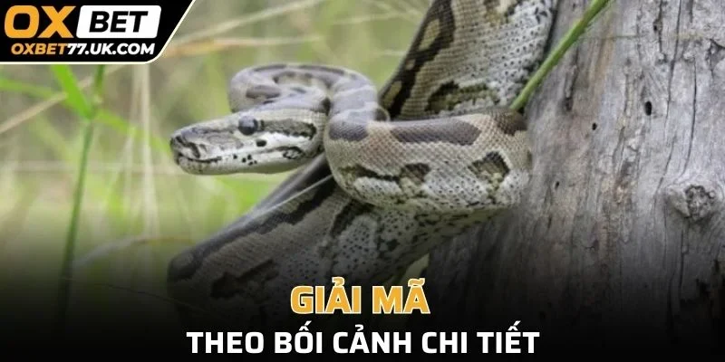 Mỗi giấc chiêm bao về loài vật này đều ẩn chứa thông điệp