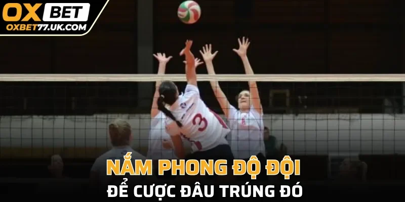 Nắm phong độ đội để cược đâu trúng đó