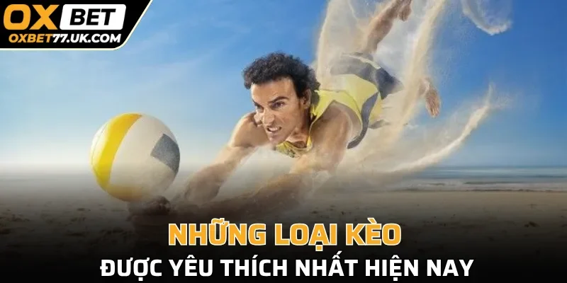 Những loại kèo bóng chuyền được yêu thích nhất hiện nay