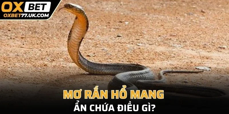 Rắn hổ mang thường gắn liền với sự bất mãn