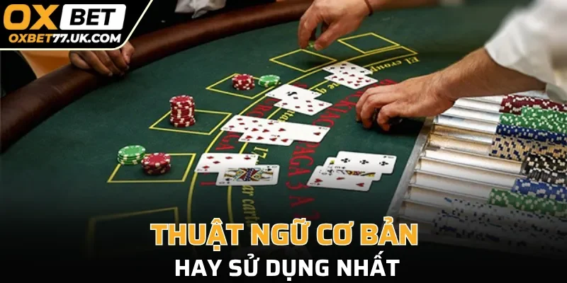 Thuật ngữ cơ bản hay sử dụng nhất