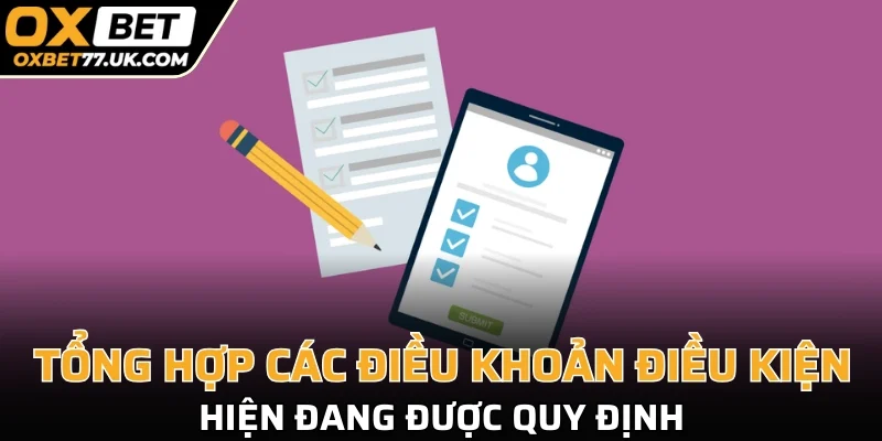 Tổng hợp các điều khoản điều kiện hiện đang được quy định