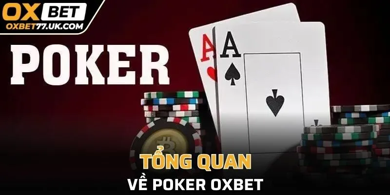 Tổng quan về poker OXBET