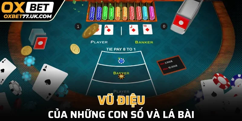 Vũ điệu của những con số và lá bài